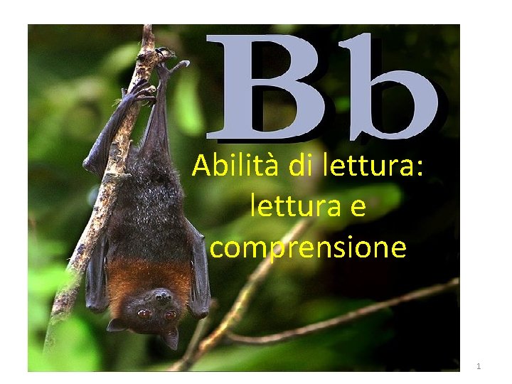 Abilità di lettura: lettura e comprensione 1 