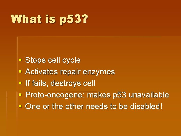 What is p 53? § § § Stops cell cycle Activates repair enzymes If