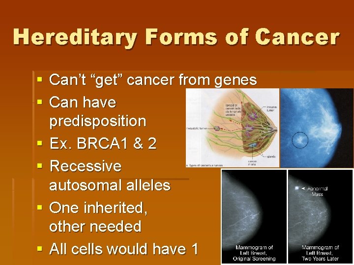 Hereditary Forms of Cancer § Can’t “get” cancer from genes § Can have predisposition