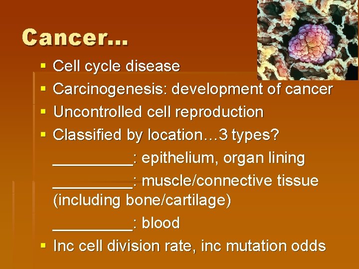 Cancer… § § Cell cycle disease Carcinogenesis: development of cancer Uncontrolled cell reproduction Classified