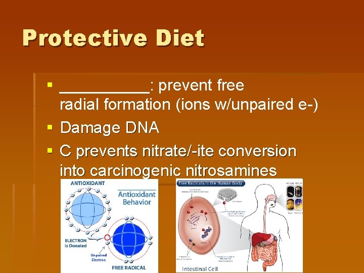 Protective Diet § _____: prevent free radial formation (ions w/unpaired e-) § Damage DNA