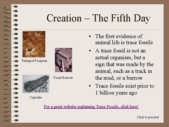 Creation – The Fifth Day Therapod Footprint Fossil Burrow Coprolite • The first evidence