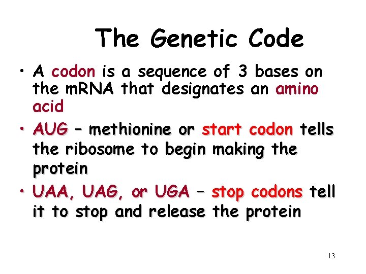 The Genetic Code • A codon is a sequence of 3 bases on the