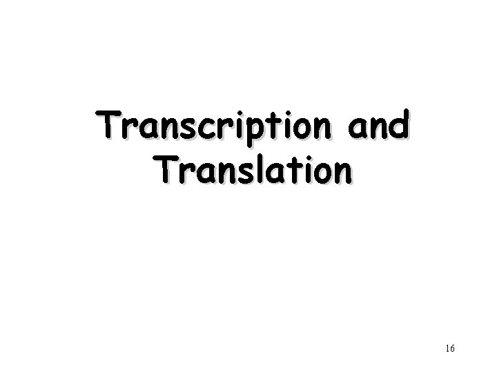 Transcription and Translation 16 