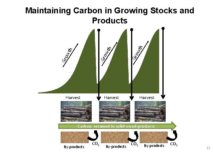 Harvest h wt Gro Gro wt wt h h Maintaining Carbon in Growing Stocks