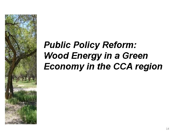 Public Policy Reform: Wood Energy in a Green Economy in the CCA region 14