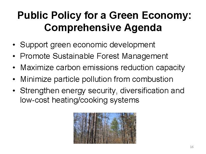 Public Policy for a Green Economy: Comprehensive Agenda • • • Support green economic