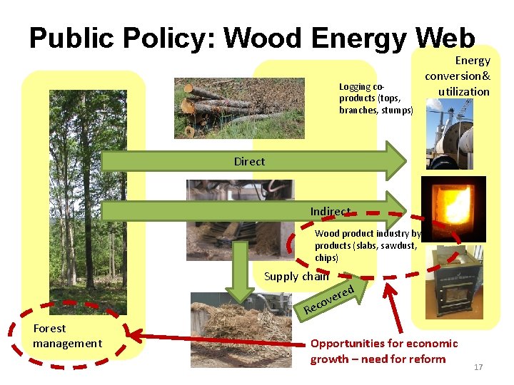 Public Policy: Wood Energy Web Logging coproducts (tops, branches, stumps) Energy conversion& utilization Direct