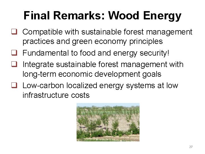 Final Remarks: Wood Energy q Compatible with sustainable forest management practices and green economy