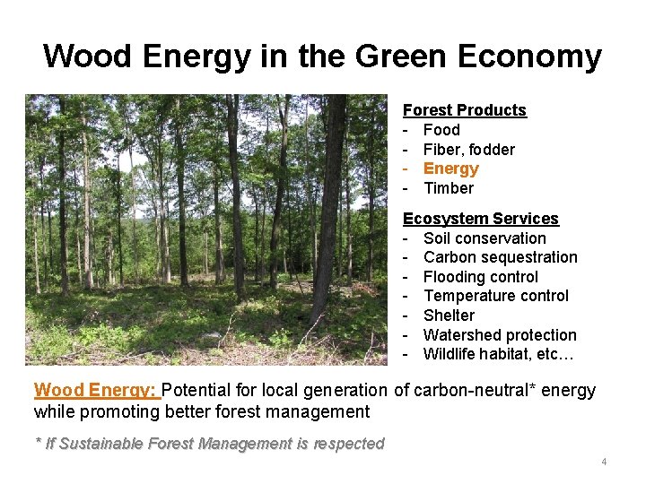 Wood Energy in the Green Economy Forest Products - Food - Fiber, fodder -