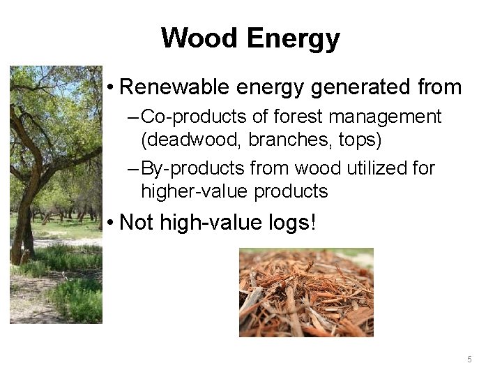 Wood Energy • Renewable energy generated from – Co-products of forest management (deadwood, branches,