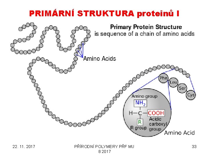 PRIMÁRNÍ STRUKTURA proteinů I 22. 11. 2017 PŘÍRODNÍ POLYMERY PŘF MU 8 2017 33