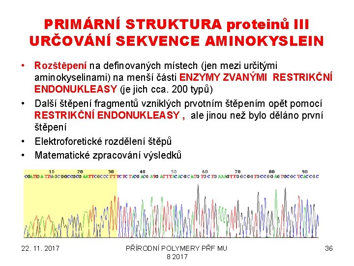 PRIMÁRNÍ STRUKTURA proteinů III URČOVÁNÍ SEKVENCE AMINOKYSLEIN • Rozštěpení na definovaných místech (jen mezi