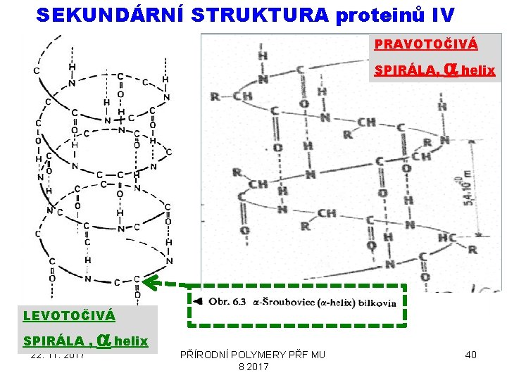 SEKUNDÁRNÍ STRUKTURA proteinů IV PRAVOTOČIVÁ SPIRÁLA, a helix LEVOTOČIVÁ SPIRÁLA , 22. 11. 2017