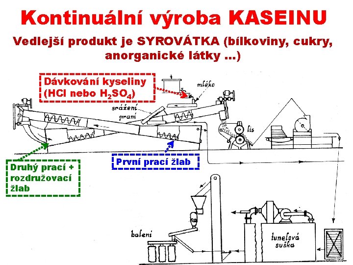 Kontinuální výroba KASEINU Vedlejší produkt je SYROVÁTKA (bílkoviny, cukry, anorganické látky …) Dávkování kyseliny