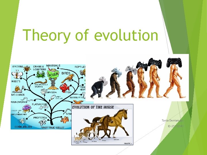 Theory of evolution Tania Dentampol ID-25152141 