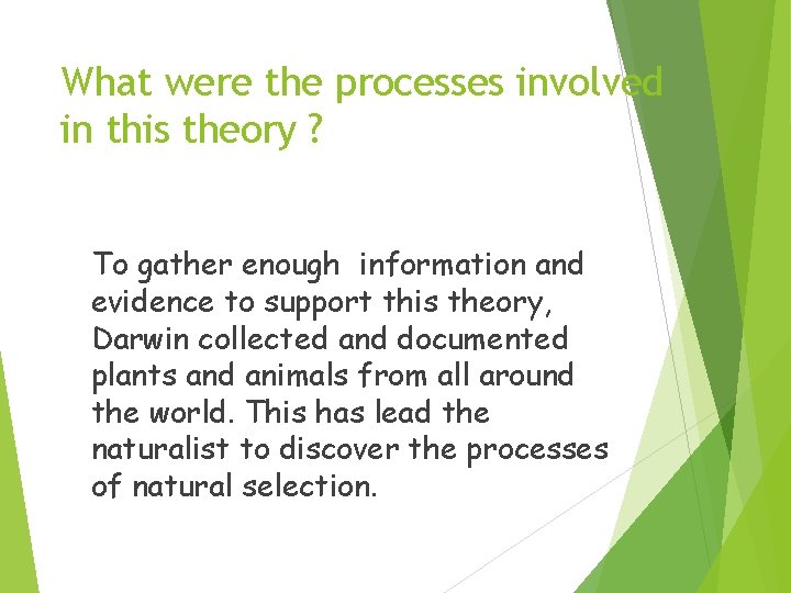 What were the processes involved in this theory ? To gather enough information and