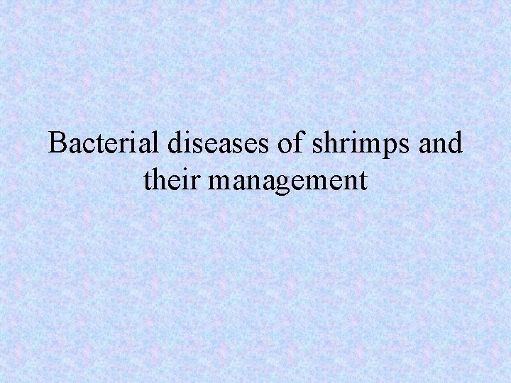 Bacterial diseases of shrimps and their management 