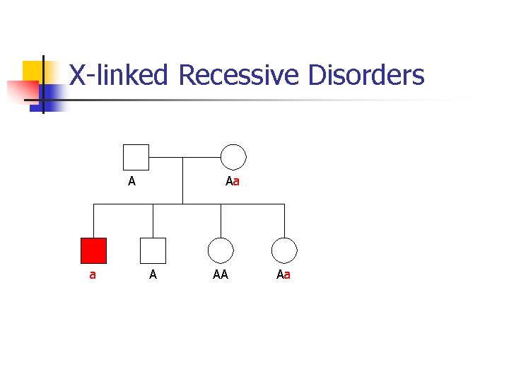 X-linked Recessive Disorders A a Aa A AA Aa 