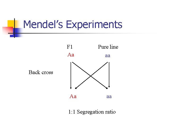 Mendel’s Experiments F 1 Aa Pure line aa Back cross Aa aa 1: 1