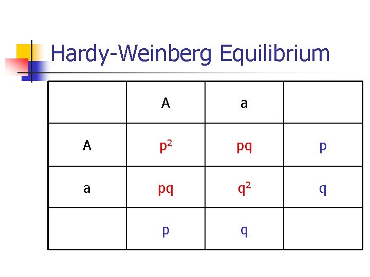 Hardy-Weinberg Equilibrium A a A p 2 pq p a pq q 2 q
