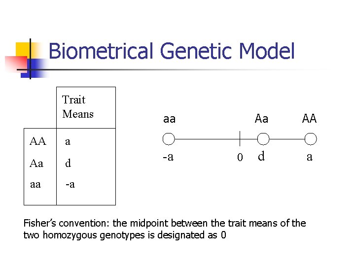 Biometrical Genetic Model Trait Means AA a Aa d aa -a 0 Aa AA