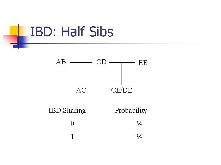 IBD: Half Sibs AB CD AC IBD Sharing EE CE/DE Probability 0 ½ 1