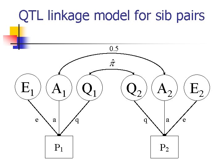QTL linkage model for sib pairs 0. 5 E 1 A 1 e a