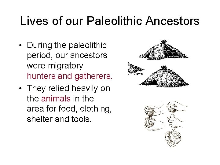 Lives of our Paleolithic Ancestors • During the paleolithic period, our ancestors were migratory