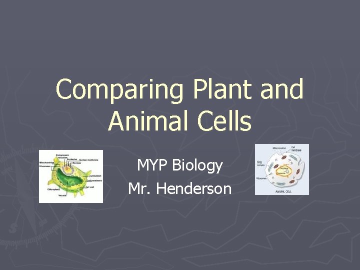 Comparing Plant and Animal Cells MYP Biology Mr. Henderson 