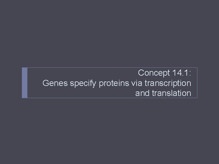 Concept 14. 1: Genes specify proteins via transcription and translation 