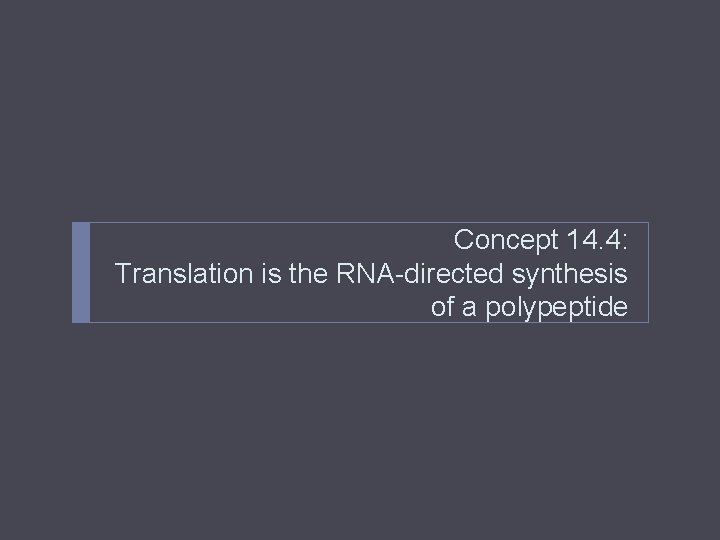 Concept 14. 4: Translation is the RNA-directed synthesis of a polypeptide 