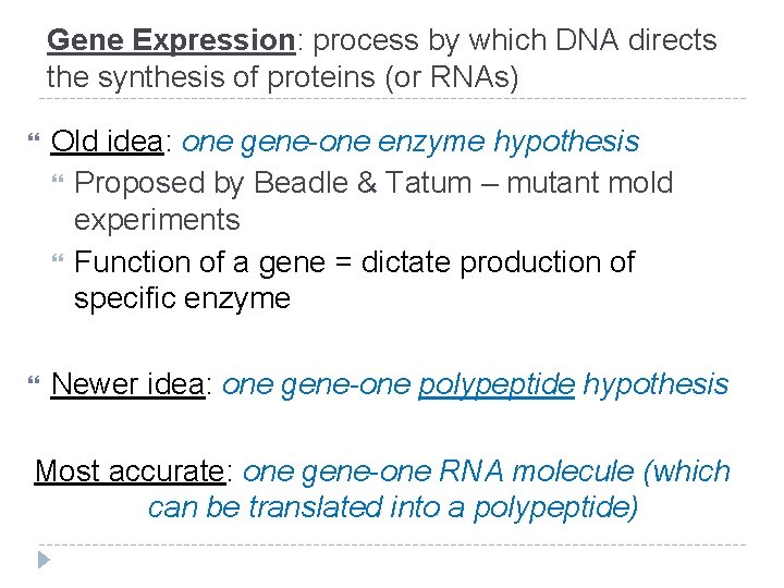 Gene Expression: process by which DNA directs the synthesis of proteins (or RNAs) Old