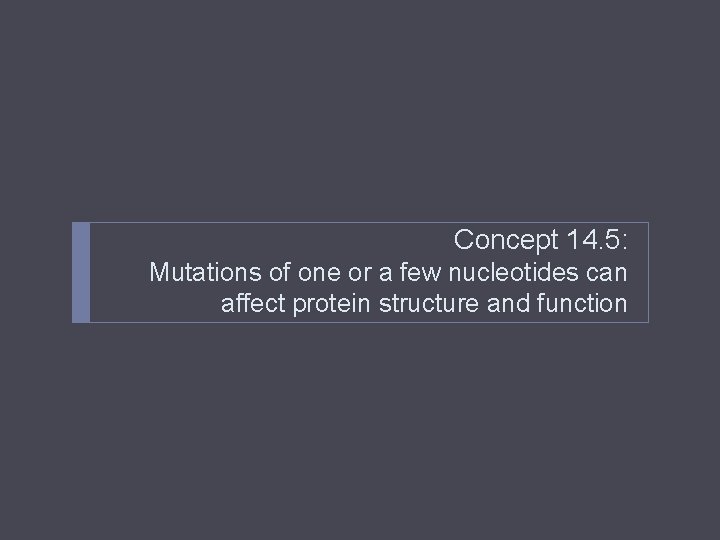 Concept 14. 5: Mutations of one or a few nucleotides can affect protein structure