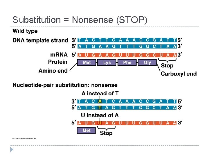 Substitution = Nonsense (STOP) 