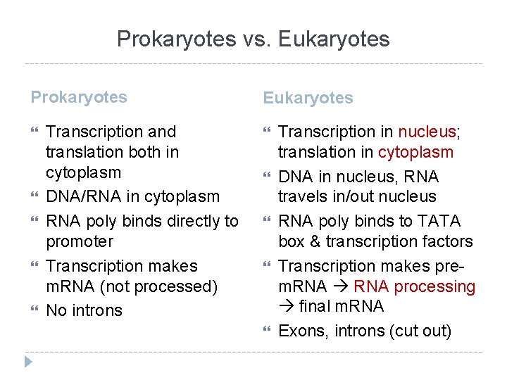 Prokaryotes vs. Eukaryotes Prokaryotes Transcription and translation both in cytoplasm DNA/RNA in cytoplasm RNA