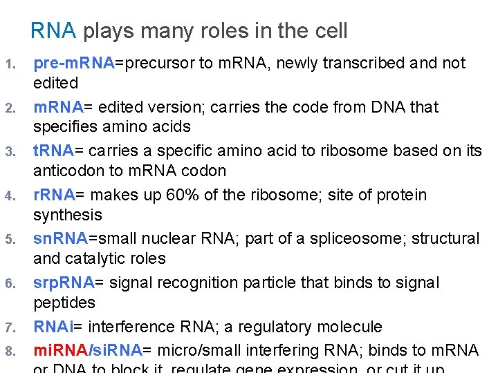 RNA plays many roles in the cell 1. 2. 3. 4. 5. 6. 7.