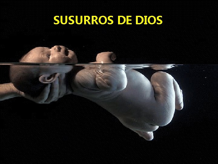 SUSURROS DE DIOS 