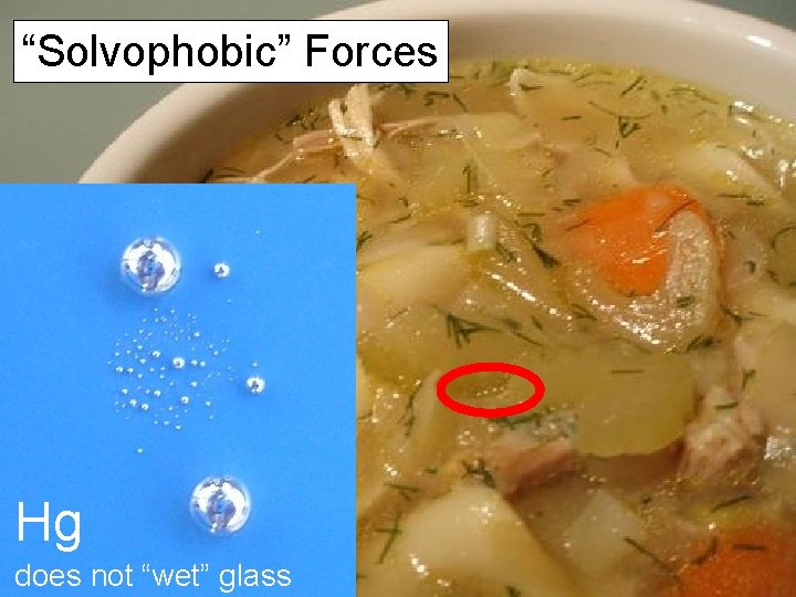 “Solvophobic” Forces Like Dissolves Like Hg does not “wet” glass 