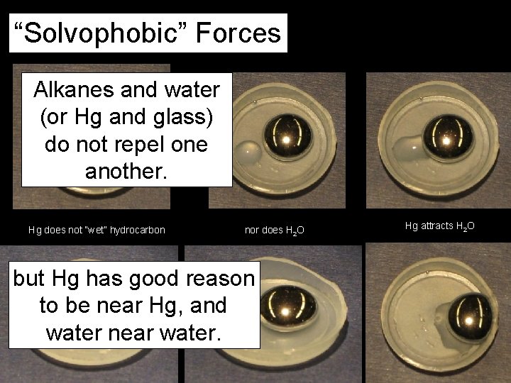 “Solvophobic” Forces Like Dissolves Like Alkanes and water (or Hg and glass) do not