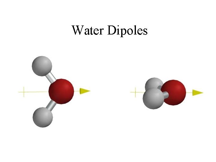 Water Dipoles 