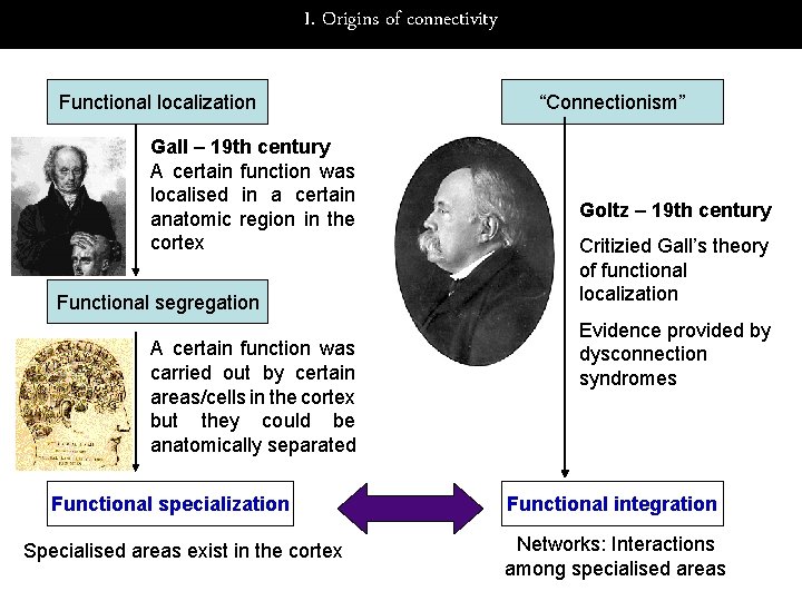 I. Origins of connectivity Functional localization Gall – 19 th century A certain function