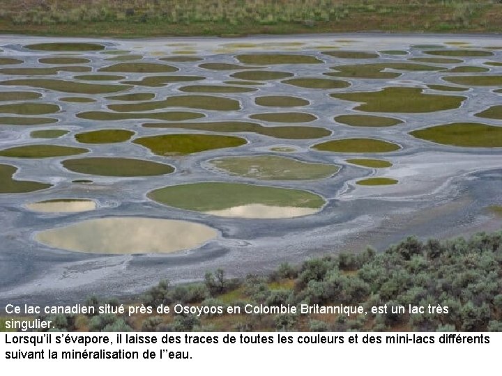 Ce lac canadien situé près de Osoyoos en Colombie Britannique, est un lac très