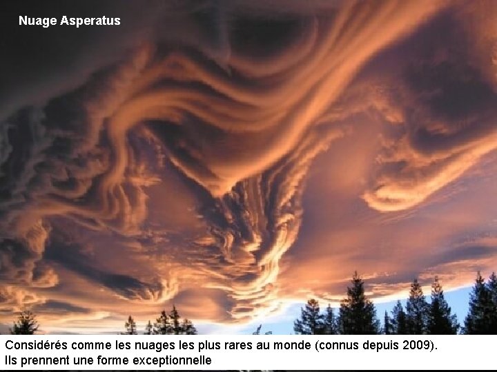 Nuage Asperatus Considérés comme les nuages les plus rares au monde (connus depuis 2009).