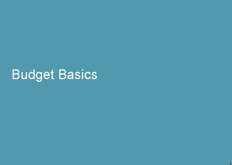 Budget Basics 1 