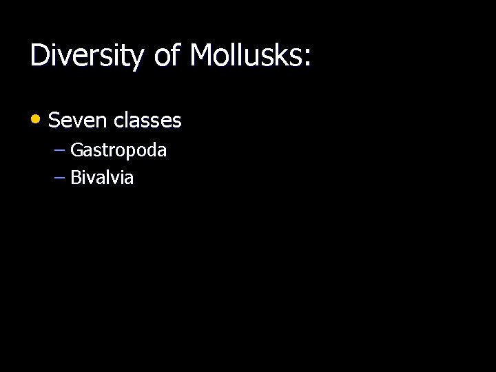 Diversity of Mollusks: • Seven classes – Gastropoda – Bivalvia 