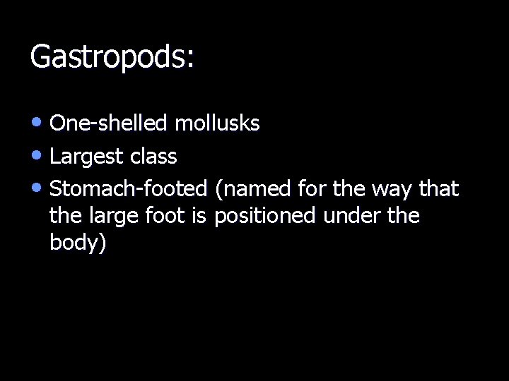 Gastropods: • One-shelled mollusks • Largest class • Stomach-footed (named for the way that