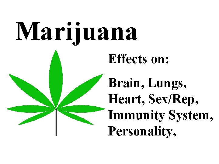 Marijuana Effects on: Brain, Lungs, Heart, Sex/Rep, Immunity System, Personality, 