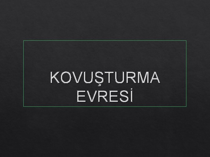 KOVUŞTURMA EVRESİ 