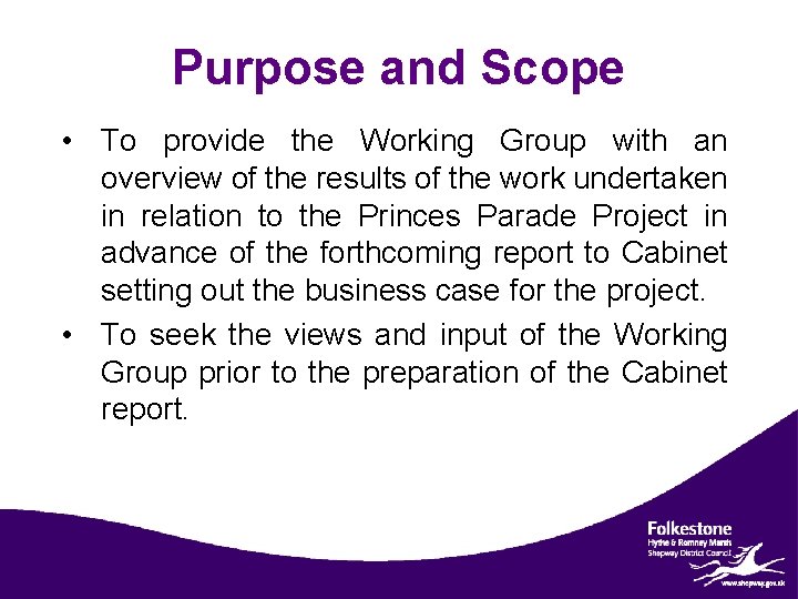 Purpose and Scope • To provide the Working Group with an overview of the